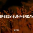 Tayori - Breezy Summerday [130 BPM]