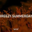 Tayori - Breezy Summerday [130 BPM]